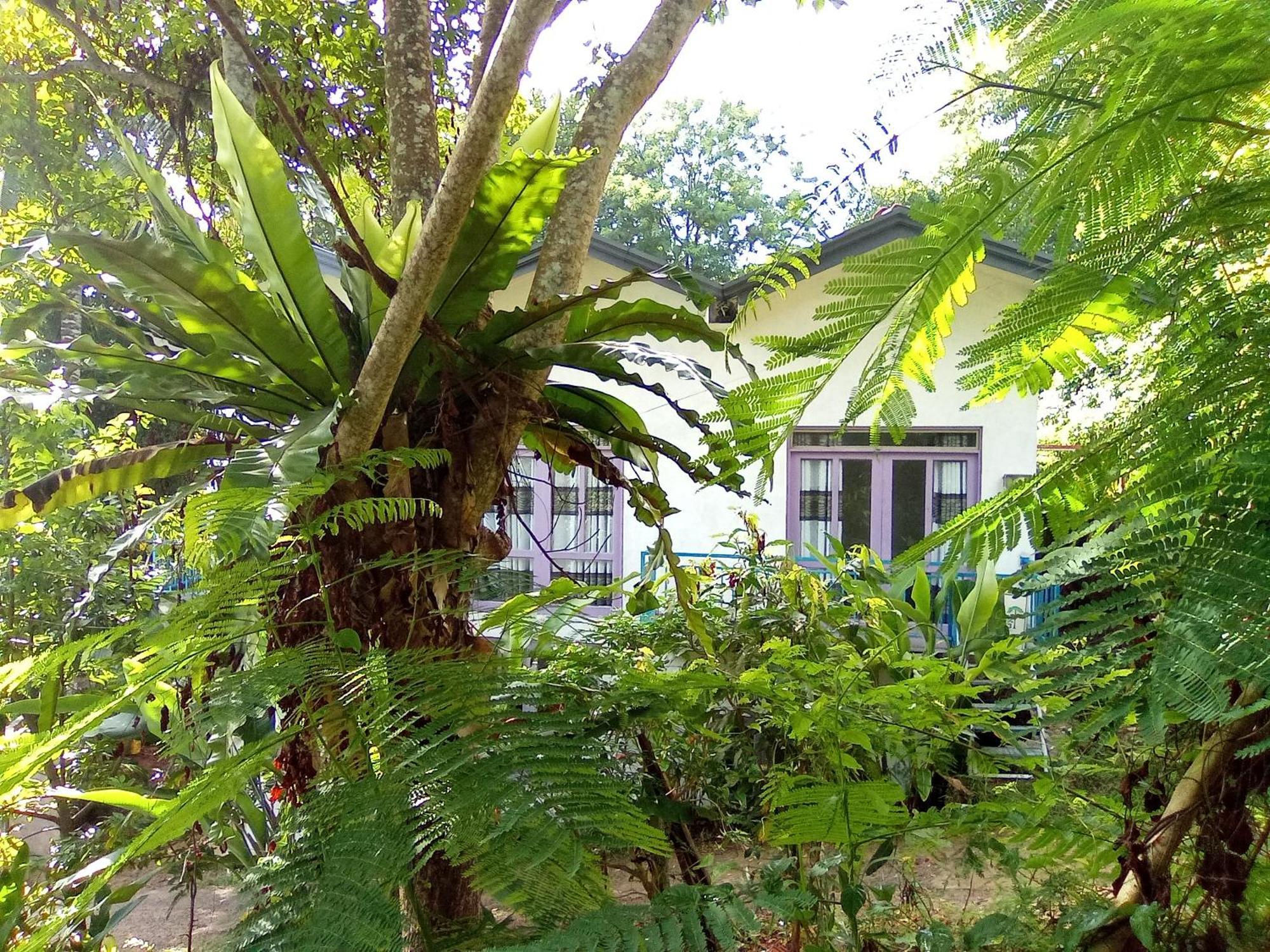 House 73 Hotell Unawatuna Eksteriør bilde